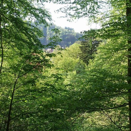 Pension/Bed And Breakfast Pangea Бад Лаутерберг Екстериор снимка