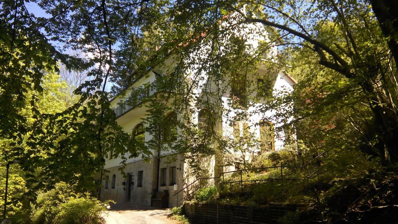 Pension/Bed And Breakfast Pangea Бад Лаутерберг Екстериор снимка