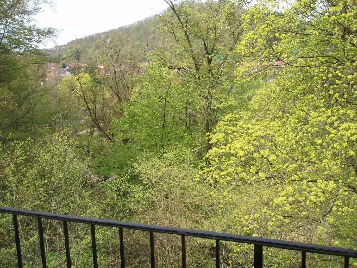 Pension/Bed And Breakfast Pangea Бад Лаутерберг Екстериор снимка