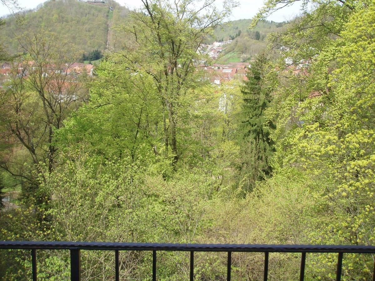 Pension/Bed And Breakfast Pangea Бад Лаутерберг Екстериор снимка
